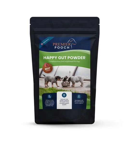 Premier Pooch Happy Gut Powder 300g Beef