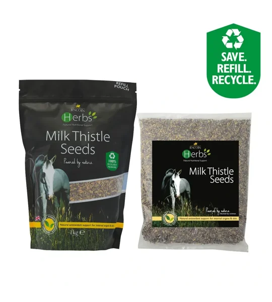 Lincoln Herbs Milk Thistle Seeds 1kg - 50 Days Supply -