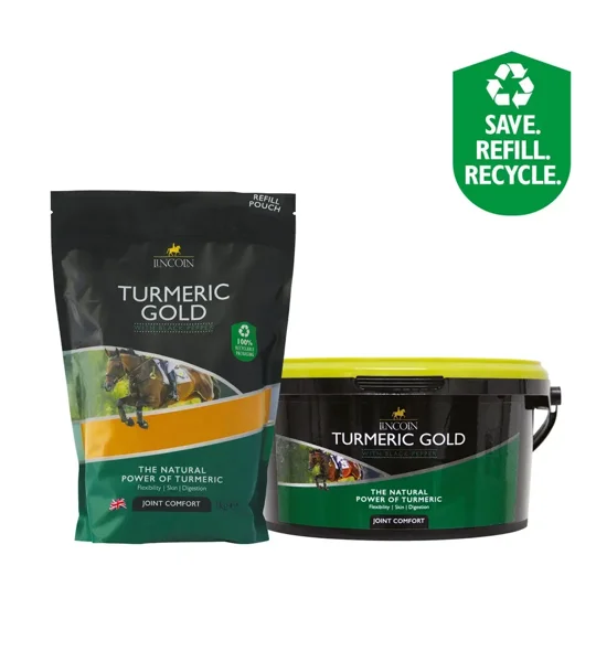 Lincoln Turmeric Gold - 1kg
