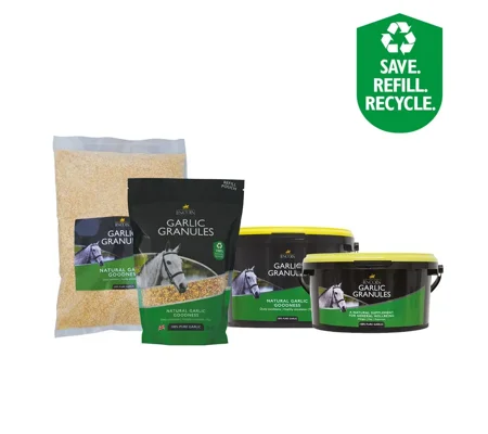 Lincoln Garlic Granules
