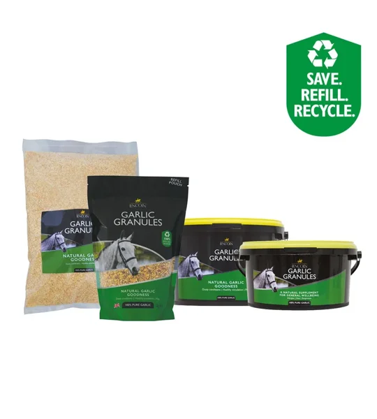 Lincoln Garlic Granules