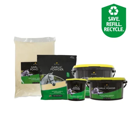Lincoln Garlic Powder