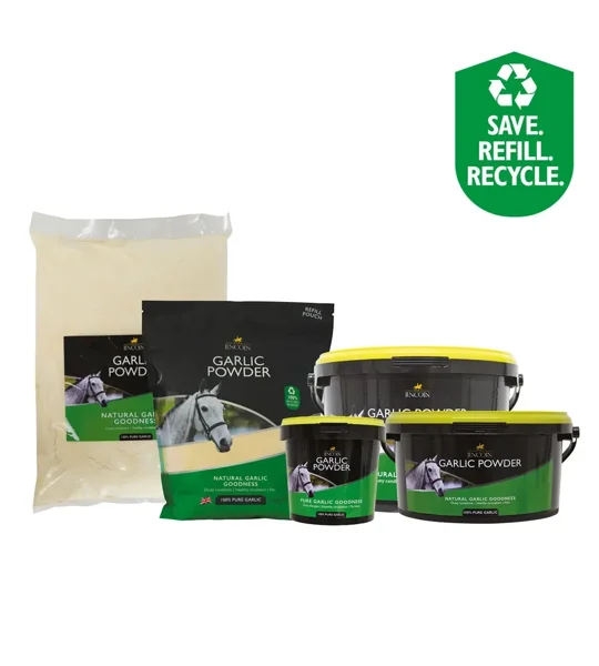 Lincoln Garlic Powder