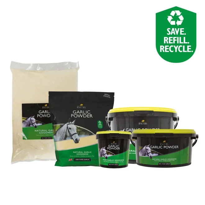product Image for Lincoln Garlic Powder