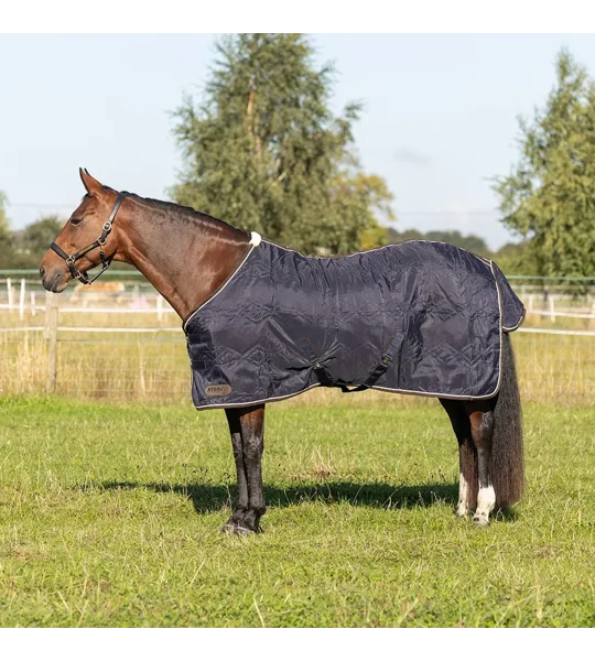 StormX Original Luxury Show Rug Navy/Cream