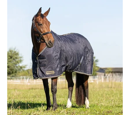 StormX Original Luxury Show Rug Navy/Cream