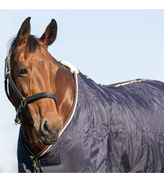 StormX Original Luxury Show Rug Navy/Cream