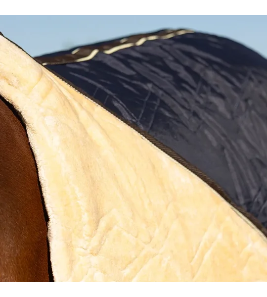 StormX Original Luxury Show Rug Navy/Cream