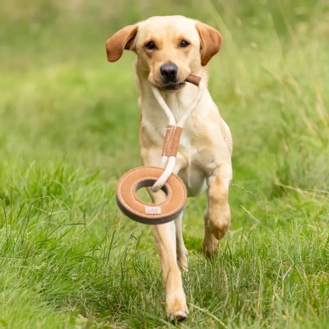 Additional Image for Benji & Flo Tug 'n' Play Toys