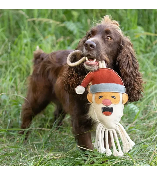 Benji & Flo Christmas Dog Toys - Reindeer