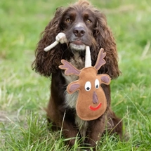 Benji & Flo Christmas D..