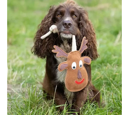Benji & Flo Christmas Dog Toys - Reindeer