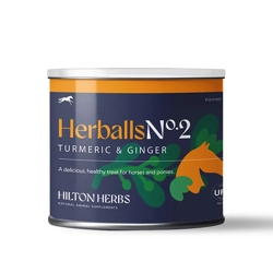 Hilton Herbs Herballs  Turmeric & Ginger