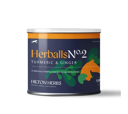 Hilton Herbs Herballs Turmeric & Ginger