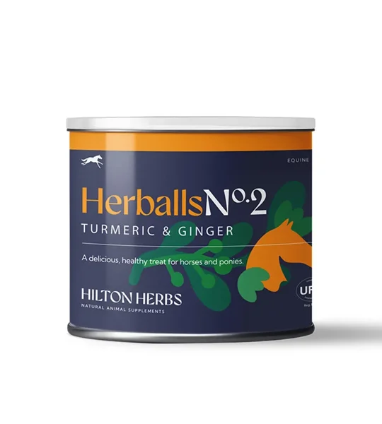 Hilton Herbs Herballs Turmeric & Ginger