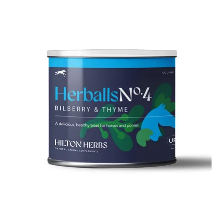 Hilton Herbs Herballs Bilberry & Thyme