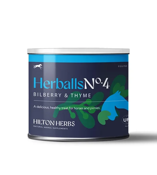 Hilton Herbs Herballs Bilberry & Thyme