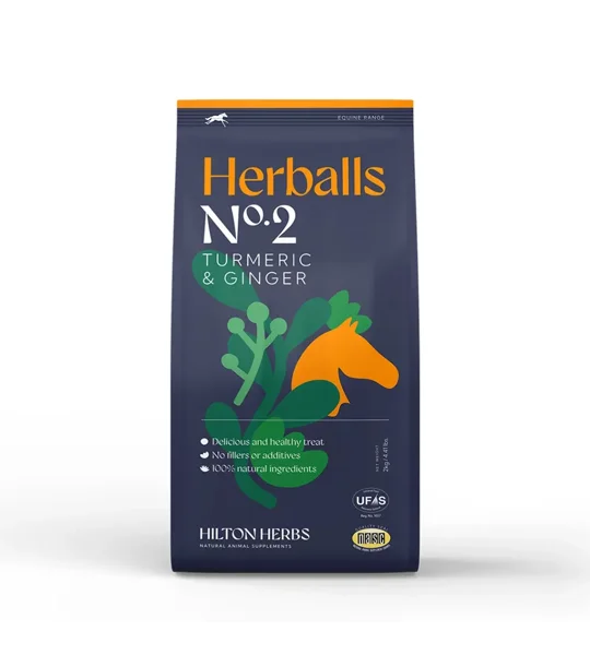Hilton Herbs Herballs Turmeric & Ginger