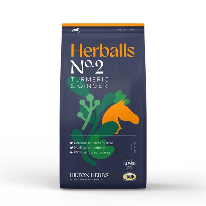 Additional Image for Hilton Herbs Herballs  Turmeric & Ginger