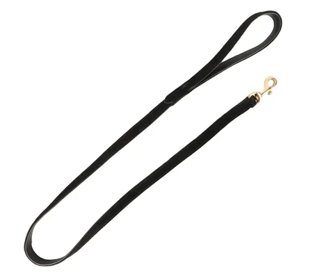 Benji & Flo Noble Suede Dog Lead Black/Gold