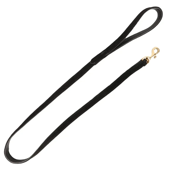 product Image for Benji & Flo Noble Suede Dog Lead Black/Gold