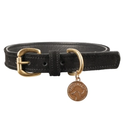 Benji & Flo Noble Suede Dog Collar Black/Gold
