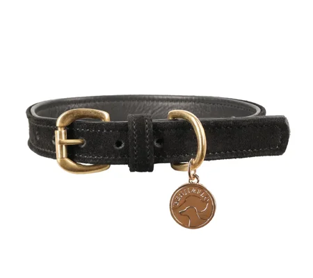 Benji & Flo Noble Suede Dog Collar Black/Gold