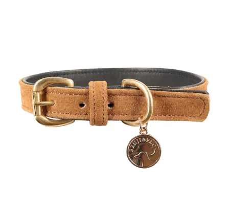 Benji & Flo Noble Suede Dog Collar Tan/Gold