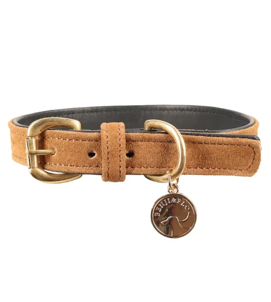 Benji & Flo Noble Suede Dog Collar Tan/Gold