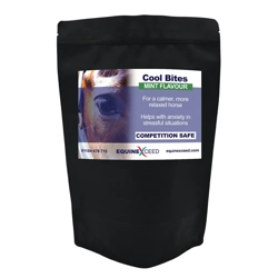 Cool Bites - 10 Bites