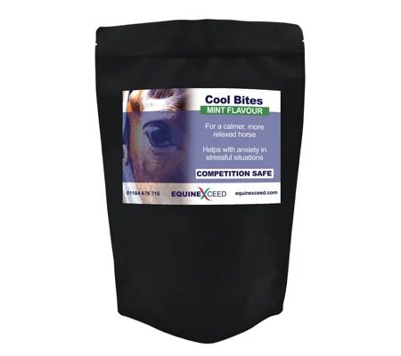 Cool Bites - 10 Bites
