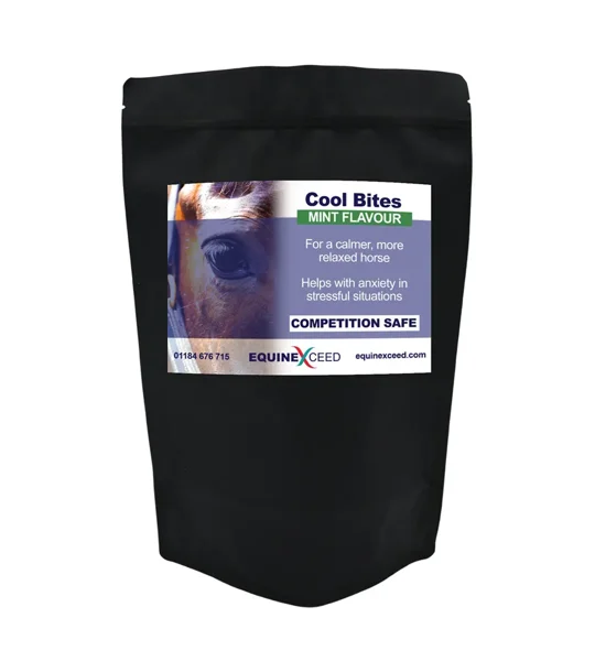 Cool Bites - 10 Bites