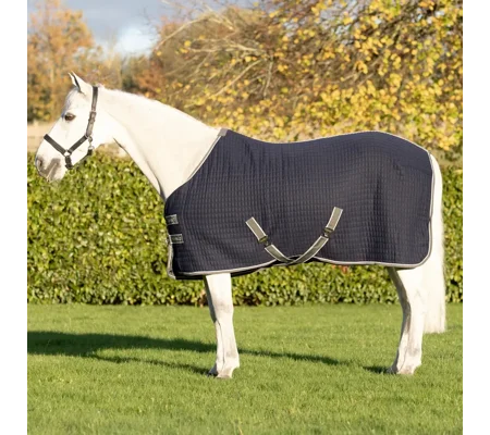 DefenceX Shield Thermal Rug