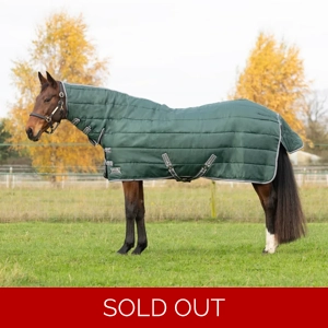 StormX Empra 300 Combi Stable Rug