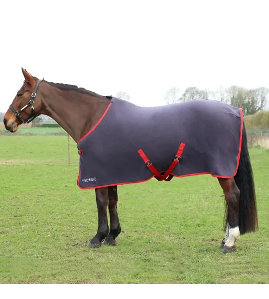 HyCONIC Fleece Rug Charcoal/Red