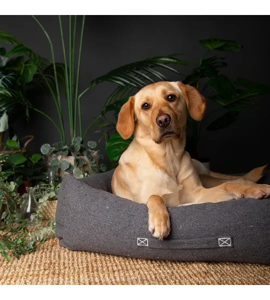Scruffs Eco Eden Box Bed
