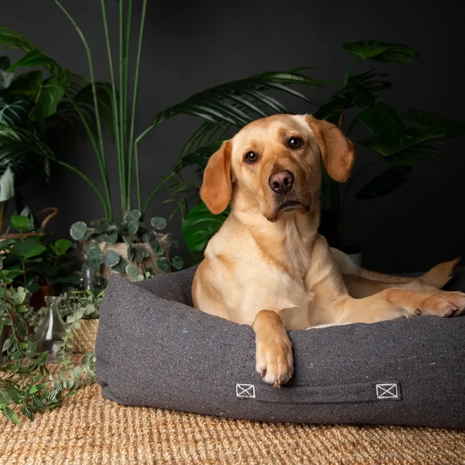 Additional Image for Scruffs Eco Eden Box Bed