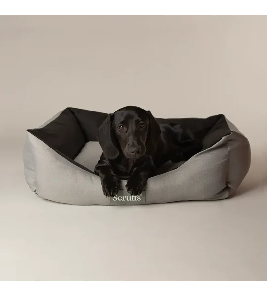 Scruffs Expedition Box Bed Storm Grey