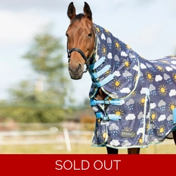 StormX Original Come Rain or Shine Combi Fly Rug