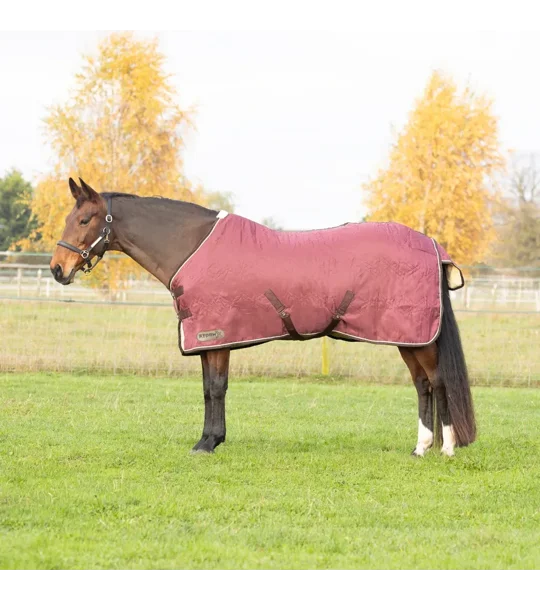 StormX Original Luxury Show Rug Burgundy/Cream