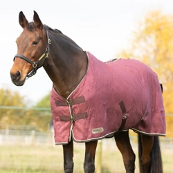 StormX Original Luxury Show Rug  Burgundy/Cream