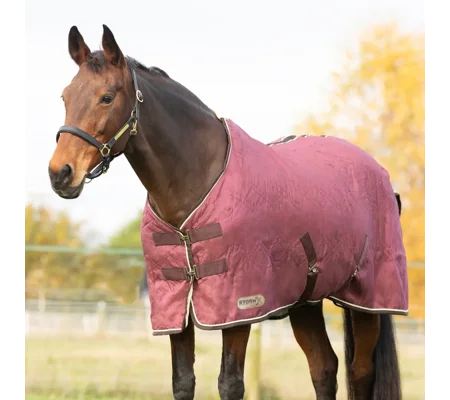 StormX Original Luxury Show Rug Burgundy/Cream