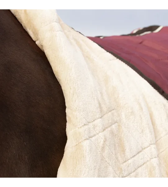 StormX Original Luxury Show Rug Burgundy/Cream