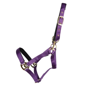 Hy Equestrian Fieldsafe Head Collar  Purple
