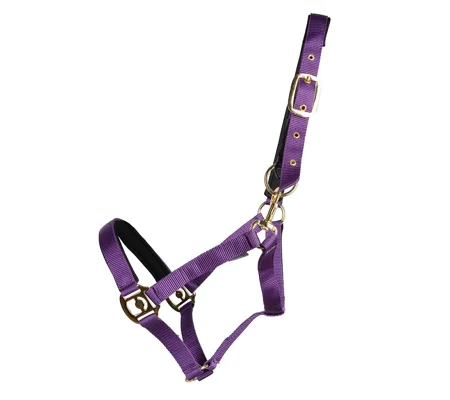 Hy Equestrian Fieldsafe Head Collar Purple