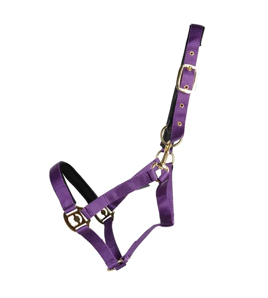 Hy Equestrian Fieldsafe Head Collar Purple