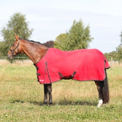 HyCONIC 100g Turnout Rug Red