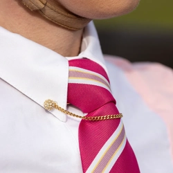 Supreme Products Glitz & Glam Collar Pin - Gold/Silver