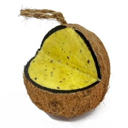 Natures Grub Coconut - Mealworm & Insect