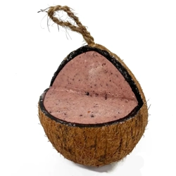 Natures Grub Coconut - Fruit & Berry